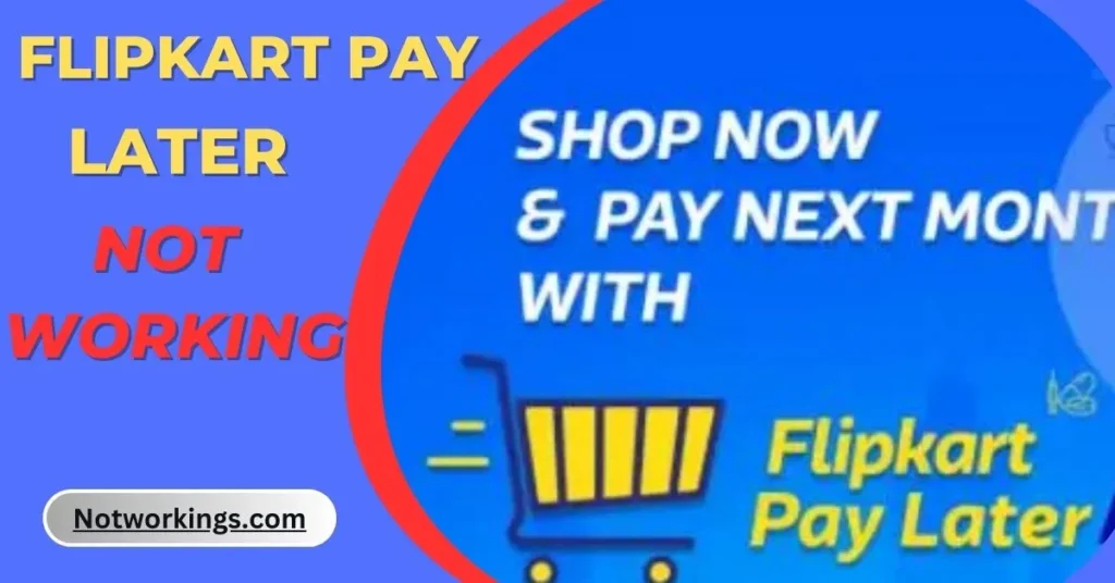 Flipkart Pay Later Not Working